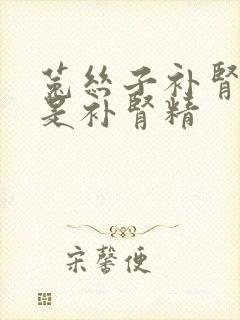 菟丝子补肾气还是补肾精