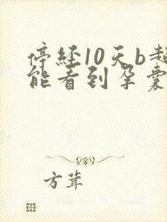 停经10天b超能看到孕囊吗封面