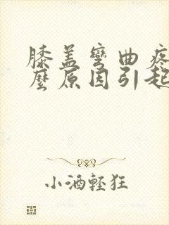 膝盖弯曲疼痛什么原因引起的