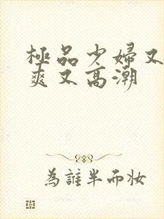 极品少妇又色又爽又高潮封面