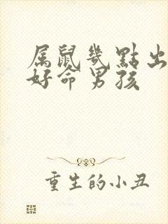 属鼠几点出生最好命男孩封面