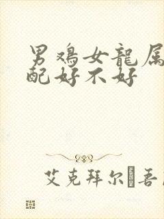 男鸡女龙属相婚配好不好