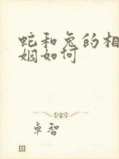 蛇和兔的相配婚姻如何