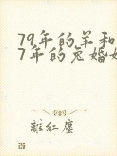 79年的羊和87年的兔婚姻怎么样