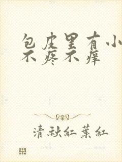 包皮里有小疙瘩不疼不痒