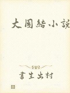 大团结小说阅读