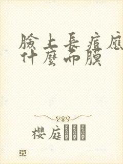 脸上长痘应该敷什么面膜