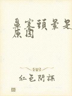 鼻塞头晕是什么原因封面