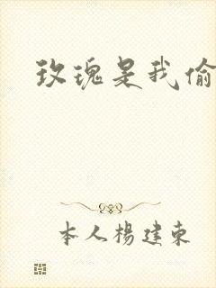 玫瑰是我偷的封面