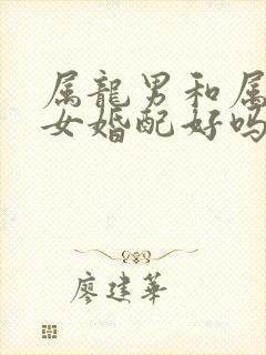 属龙男和属兔的女婚配好吗