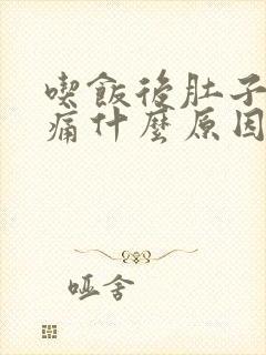 吃饭后肚子有点痛什么原因封面