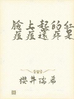 脸上起的红色的痘痘还疼是什么原因封面