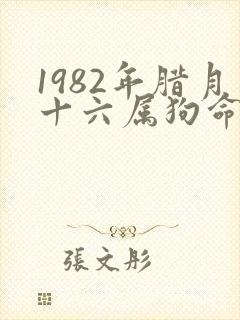 1982年腊月十六属狗命运如何