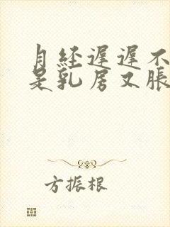 月经迟迟不来但是乳房又胀痛怎么办