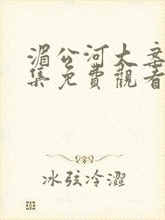 湄公河大案33集免费观看封面