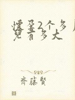 怀孕2个多月胎儿有多大