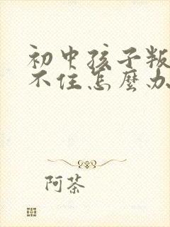 初中孩子叛逆管不住怎么办封面