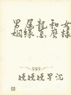 男属龙和女属牛姻缘怎么样