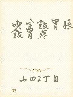 吃完饭胃胀不吃饭胃疼封面