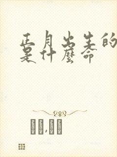 正月出生的女孩是什么命封面