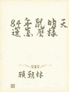 84年鼠明天财运怎么样