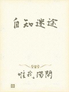 自知迷途