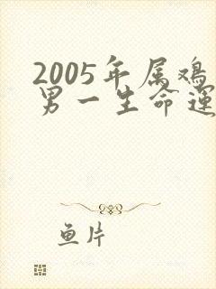 2005年属鸡男一生命运及婚姻