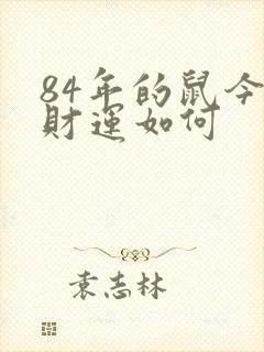 84年的鼠今年财运如何封面