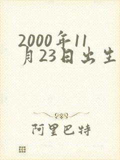 2000年11月23日出生的人命运