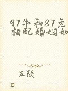 97牛和87兔相配婚姻如何
