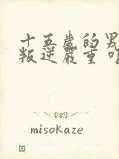 十五岁的男孩 叛逆严重 咋办