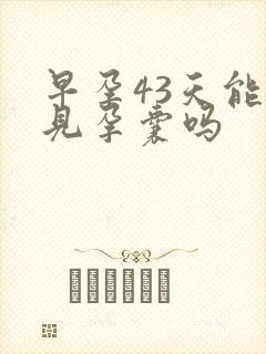 早孕43天能看见孕囊吗