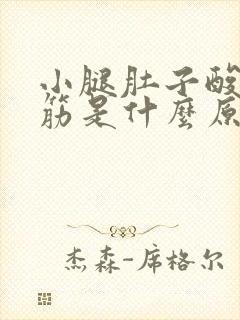 小腿肚子酸胀抽筋是什么原因封面