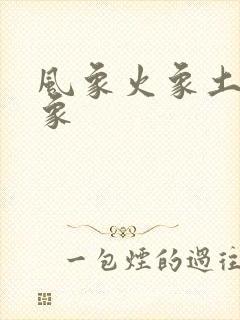 风象火象土象水象