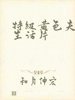 特级黄色夫妻性生活片