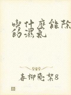 吃什么能除身上的湿气