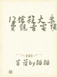 12枪杀大案免费观看电视剧