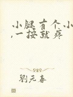 小腿有个小疙瘩,一按就疼封面