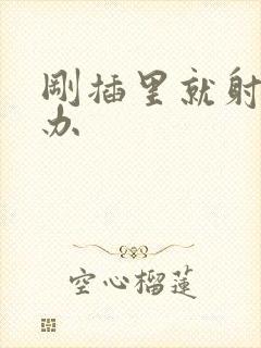 刚插里就射怎么办