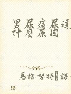 男尿痛尿道刺痛什么原因