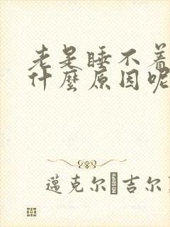 老是睡不着觉是什么原因呢女性封面