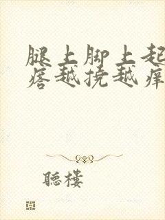 腿上脚上起红疙瘩越挠越痒