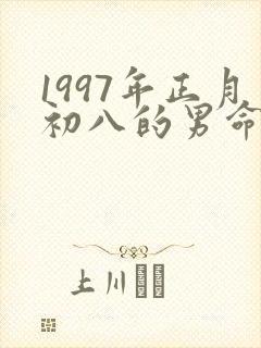 1997年正月初八的男命运
