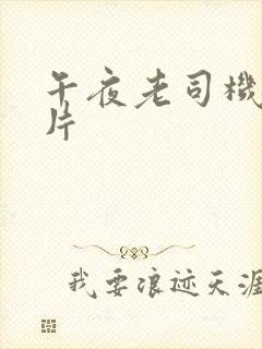 午夜老司机黄色片