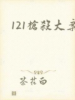 121枪杀大案封面