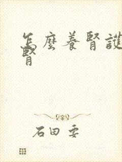 怎么养肾护肾补肾