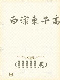 白洁东子高义封面