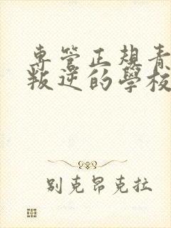 专管正规青少年叛逆的学校