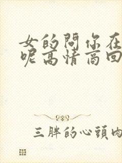 女的问你在干嘛呢高情商回复