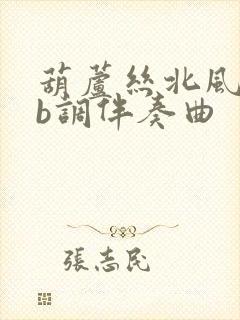 葫芦丝北风吹降b调伴奏曲